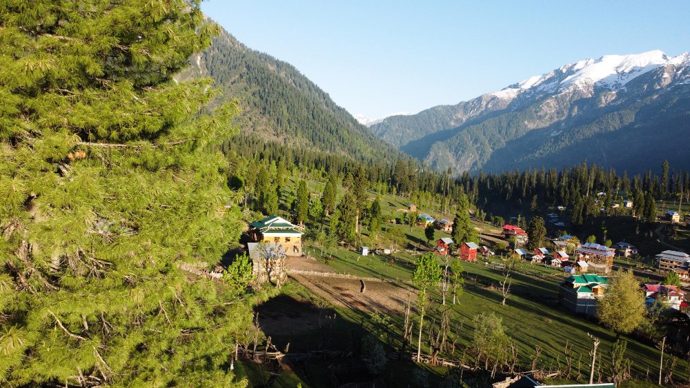 Lush green valley with a winding river in Pahalgam, Kashmir, under cloudy skies.